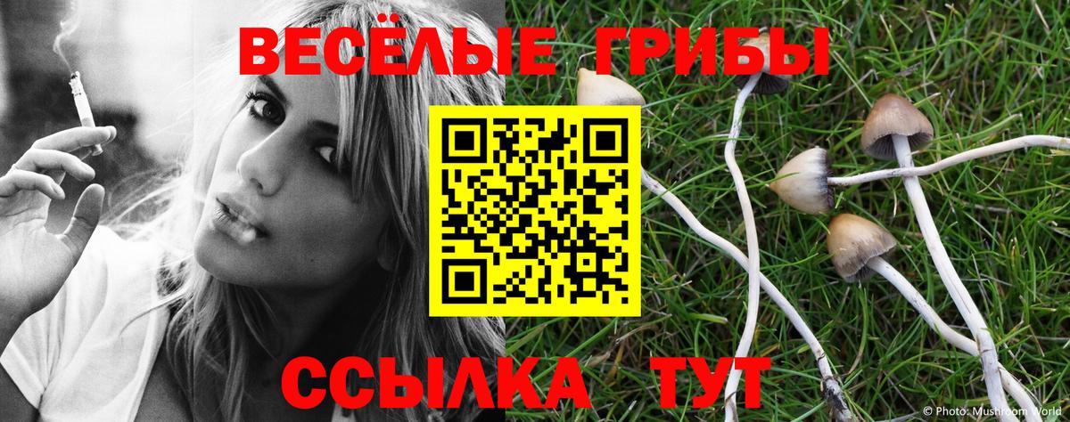 Псилоцибиновые грибы Magic Shrooms  Галлюциногенные грибы Magic Shrooms  Вход с VPN  Кубинка 